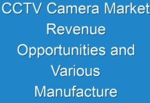 CCTV Camera Market Revenue Opportunities and Various Manufacture Development Analysis from (2024 – 2030)