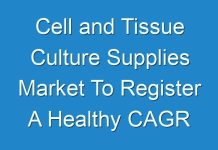 Cell and Tissue Culture Supplies Market To Register A Healthy CAGR For The Forecast Period 2015 – 2024