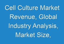 Cell Culture Market Revenue, Global Industry Analysis, Market Size, Opportunities And Forecast 2017 – 2025