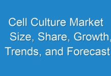 Cell Culture Market Size, Share, Growth, Trends, and Forecast 2017-2025