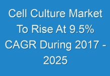 Cell Culture Market To Rise At 9.5% CAGR During 2017 – 2025
