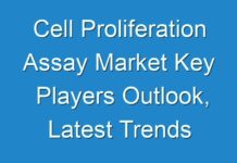 Cell Proliferation Assay Market Key Players Outlook, Latest Trends and Forecast up to 2028