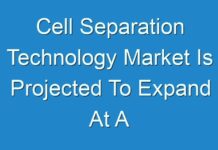 Cell Separation Technology Market Is Projected To Expand At A Double-Digit CAGR During The Forecast Period 2019 – 2027