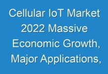 Cellular IoT Market 2024 Massive Economic Growth, Major Applications, and Competitive Scenario