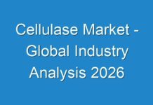 Cellulase Market – Global Industry Analysis 2026