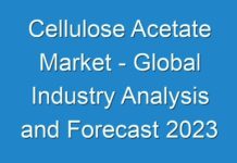 Cellulose Acetate Market – Global Industry Analysis and Forecast 2024