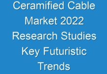 Ceramified Cable Market 2024 Research Studies Key Futuristic Trends And Opportunities 2027