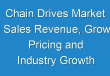 Chain Drives Market Sales Revenue, Grow Pricing and Industry Growth Analysis 2027