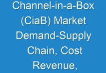 Channel-in-a-Box (CiaB) Market Demand-Supply Chain, Cost Revenue, Sales Structure, Market Analysis
