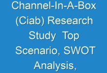 Channel-In-A-Box (Ciab) Research Study Top Scenario, SWOT Analysis, Business Overview & Forecast 2030