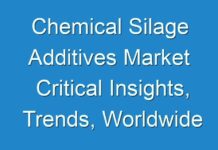 Chemical Silage Additives Market Critical Insights, Trends, Worldwide Outlook & Forecast Till 2031