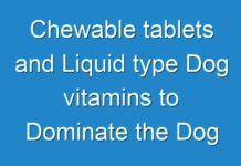 Chewable tablets and Liquid type Dog vitamins to Dominate the Dog Vitamins Market in the Forecast Period 2024-2031