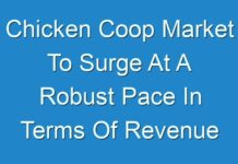 Chicken Coop Market To Surge At A Robust Pace In Terms Of Revenue Over 2028 , Finds Fact.MR
