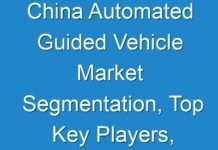 China Automated Guided Vehicle Market Segmentation, Top Key Players, Opportunities and Forecast to 2031