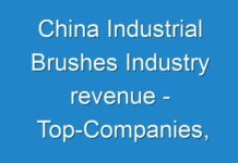 China Industrial Brushes Industry revenue – Top-Companies, Future-Growth, Regional Analysis business-Opportunities
