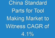 China Standard Parts for Tool Making Market to Witness CAGR of 4.1% and Increase in Value Share By the Forecast Period 2028