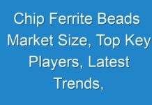 Chip Ferrite Beads Market Size, Top Key Players, Latest Trends, Regional Insights and Global Industry Dynamics By 2030- TMR