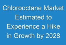Chlorooctane Market Estimated to Experience a Hike in Growth by 2028