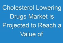 Cholesterol Lowering Drugs Market is Projected to Reach a Value of ~us$ 19.6 Bn by 2027