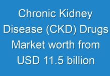 Chronic Kidney Disease (CKD) Drugs Market worth from USD 11.5 billion in the year 2015 to USD 15.8 billion in the year 2024