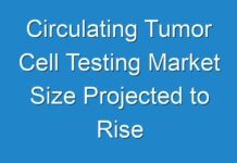 Circulating Tumor Cell Testing Market Size Projected to Rise Lucratively during 2024 – 2030