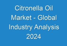 Citronella Oil Market – Global Industry Analysis 2024