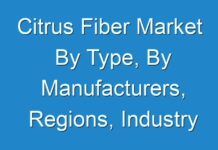 Citrus Fiber Market By Type, By Manufacturers, Regions, Industry Analysis & Forecast By 2031
