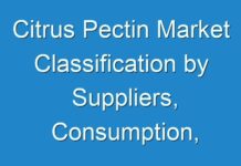Citrus Pectin Market Classification by Suppliers, Consumption, Application and Overview