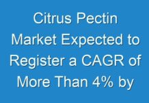 Citrus Pectin Market Expected to Register a CAGR of More Than 4% by the end of 2029