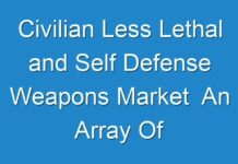 Civilian Less Lethal and Self Defense Weapons Market An Array Of Graphics And SWOT Analysis Of Major Industry Segments 2015 – 2024