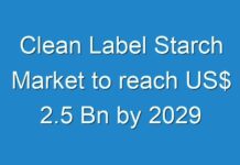 Clean Label Starch Market to reach US$ 2.5 Bn by 2029