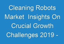 Cleaning Robots Market Insights On Crucial Growth Challenges 2019 – 2027