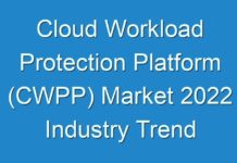 Cloud Workload Protection Platform (CWPP) Market 2024 Industry Trend and Forecast 2030