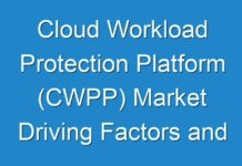 Cloud Workload Protection Platform (CWPP) Market Driving Factors and Current Pandemic Challenges Analysis 2024 – 2030