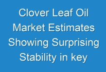 Clover Leaf Oil Market Estimates Showing Surprising Stability in key Business Segments till 2024