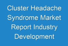 Cluster Headache Syndrome Market Report Industry Development Scenario, Data Synthesis, Growth Analysis and Regional Overview by 2024