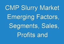 CMP Slurry Market Emerging Factors, Segments, Sales, Profits and Future Outlook till 2024