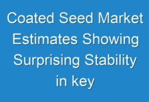 Coated Seed Market Estimates Showing Surprising Stability in key Business Segments till 2026