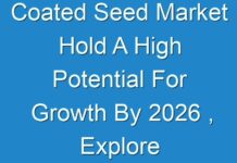 Coated Seed Market Hold A High Potential For Growth By 2026 , Explore Fact.MR Research Report