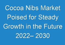 Cocoa Nibs Market Poised for Steady Growth in the Future 2024– 2030