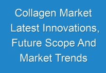 Collagen Market Latest Innovations, Future Scope And Market Trends 2024
