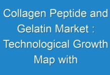 Collagen Peptide and Gelatin Market : Technological Growth Map with an Impact-Analysis