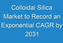 Colloidal Silica Market to Record an Exponential CAGR by 2031