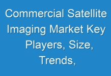 Commercial Satellite Imaging Market Key Players, Size, Trends, Opportunities and growth Analysis