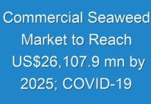 Commercial Seaweed Market to Reach US$26,107.9 mn by 2025; COVID-19 to Affect Future Growth Trajectory
