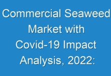 Commercial Seaweed Market with Covid-19 Impact Analysis, 2024: Development Assessment and Industry Expansion Strategies 2027