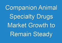 Companion Animal Specialty Drugs Market Growth to Remain Steady during the Forecast Period