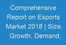 Comprehensive Report on Esports Market 2018 | Size, Growth, Demand, Opportunities & Forecast To 2026