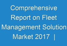 Comprehensive Report on Fleet Management Solution Market 2017 | Size, Growth, Demand, Opportunities & Forecast To 2025