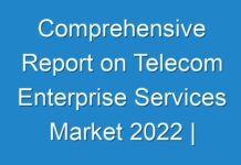 Comprehensive Report on Telecom Enterprise Services Market 2024 | Size, Growth, Demand, Opportunities & Forecast To 2030